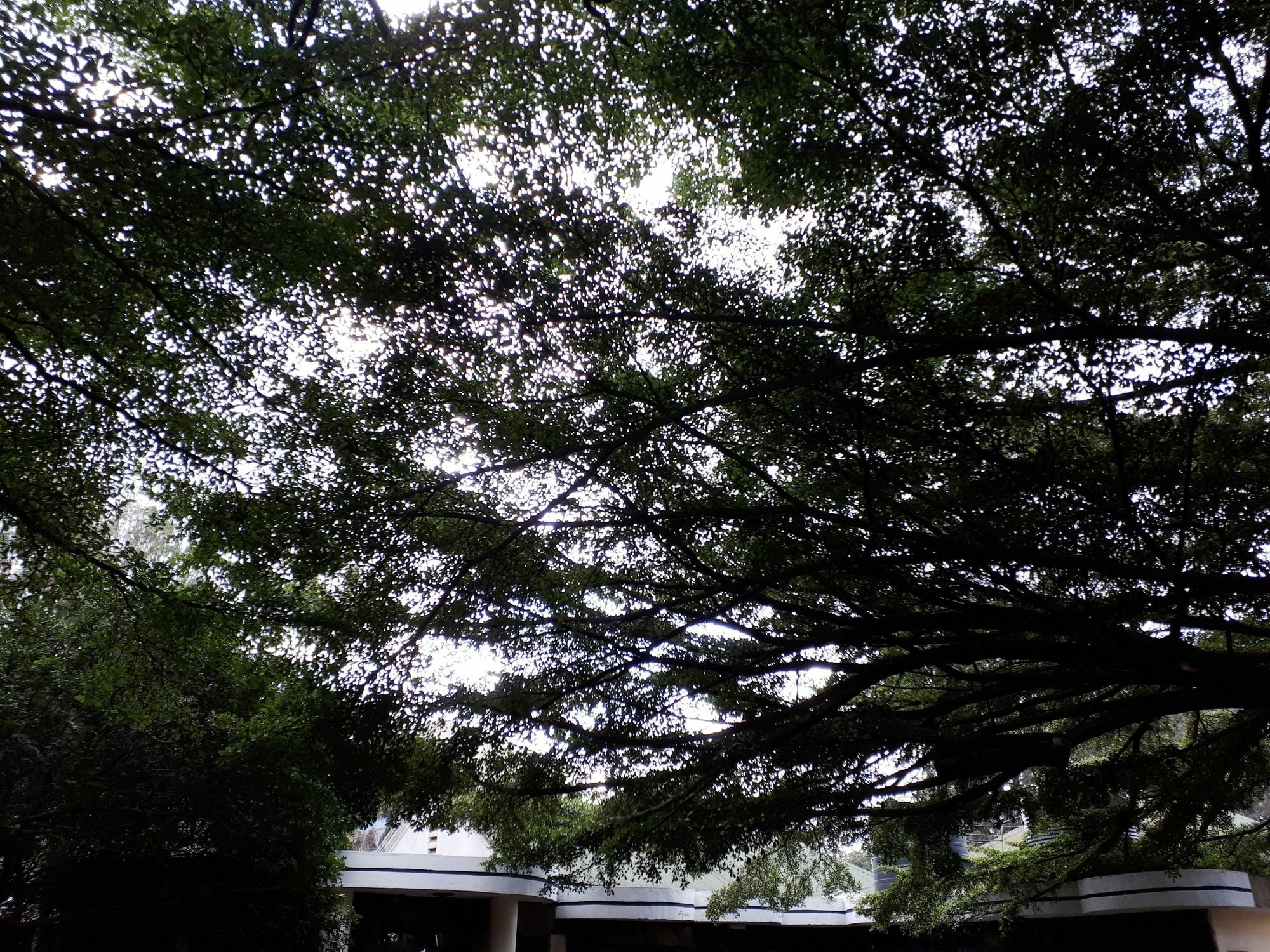 Bermuda Garden Hotel Nairobi Bagian luar foto