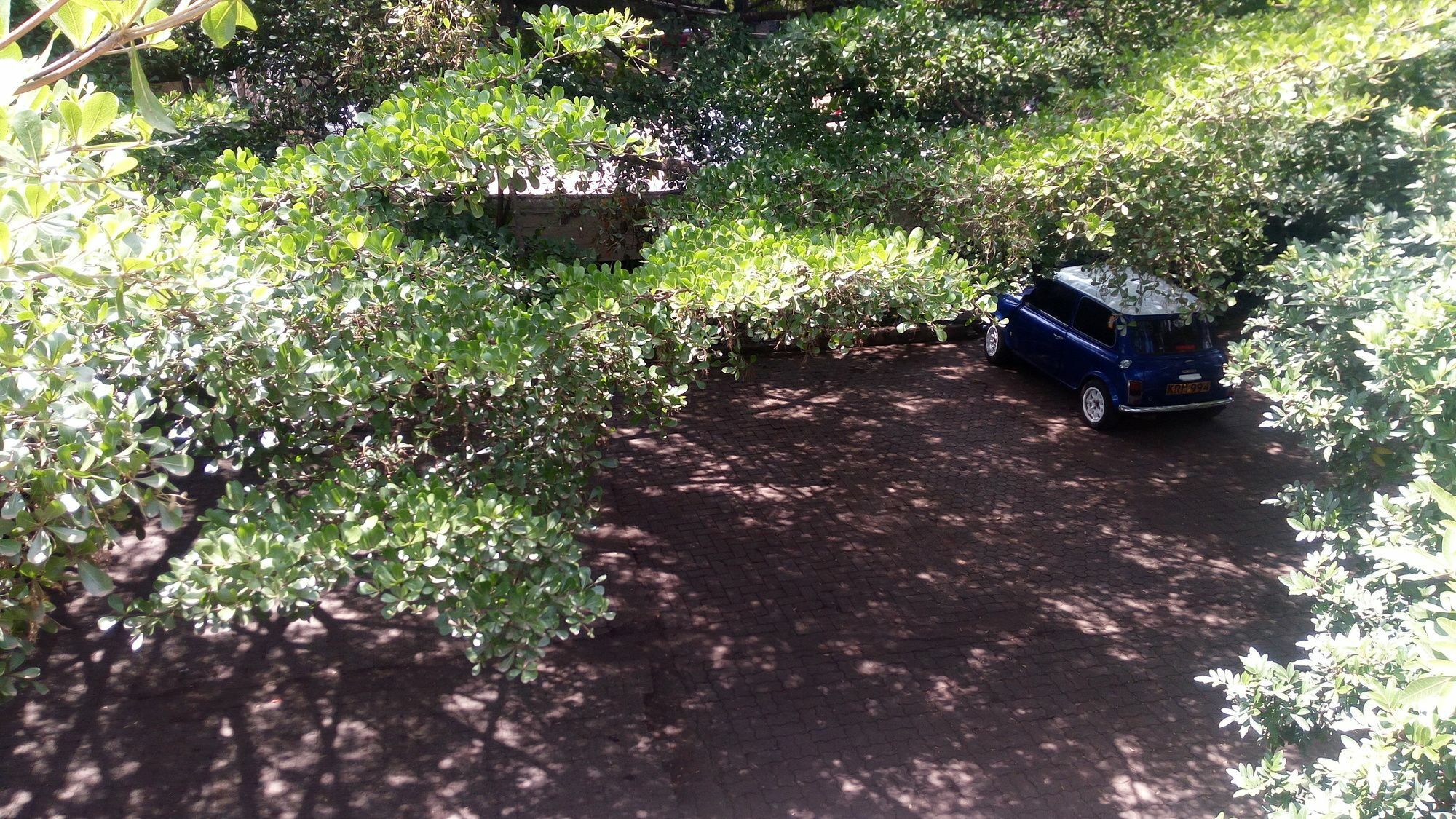 Bermuda Garden Hotel Nairobi Bagian luar foto